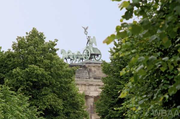 N&auml;chstes Bild
